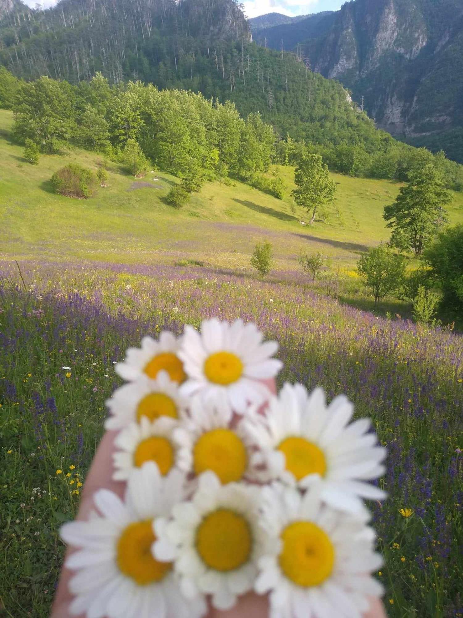 Apartman sa pogledom na Most i prirodu