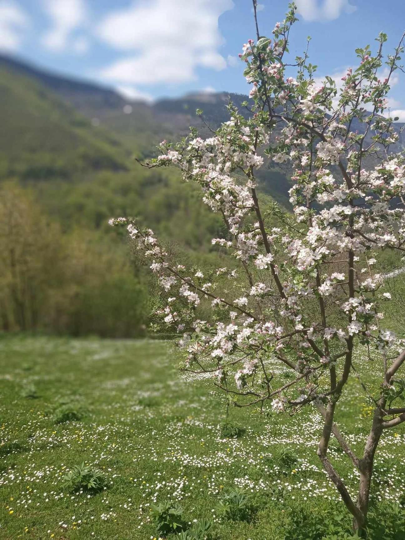 Apartman sa pogledom na Most i prirodu