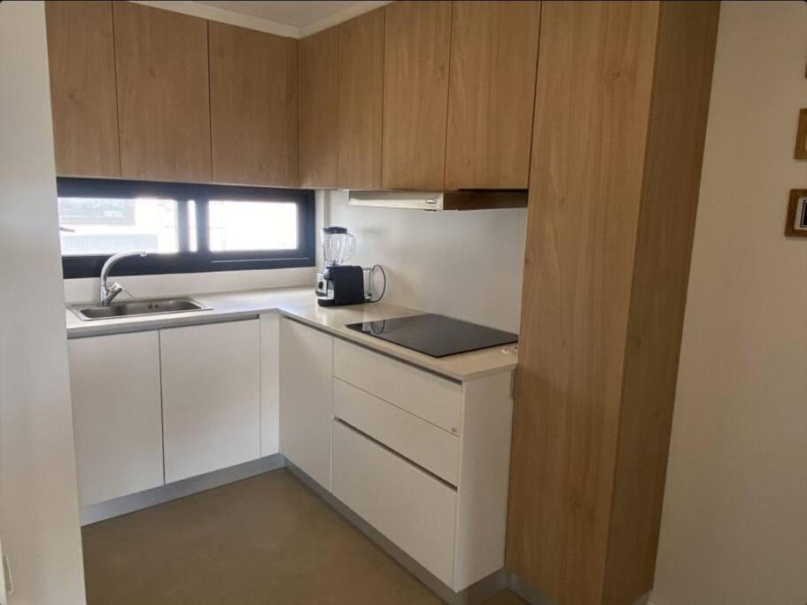 Departamento zona Alem, Playa Grande
