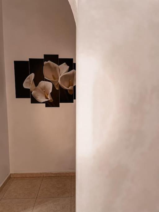 Casa Di Niko view 3