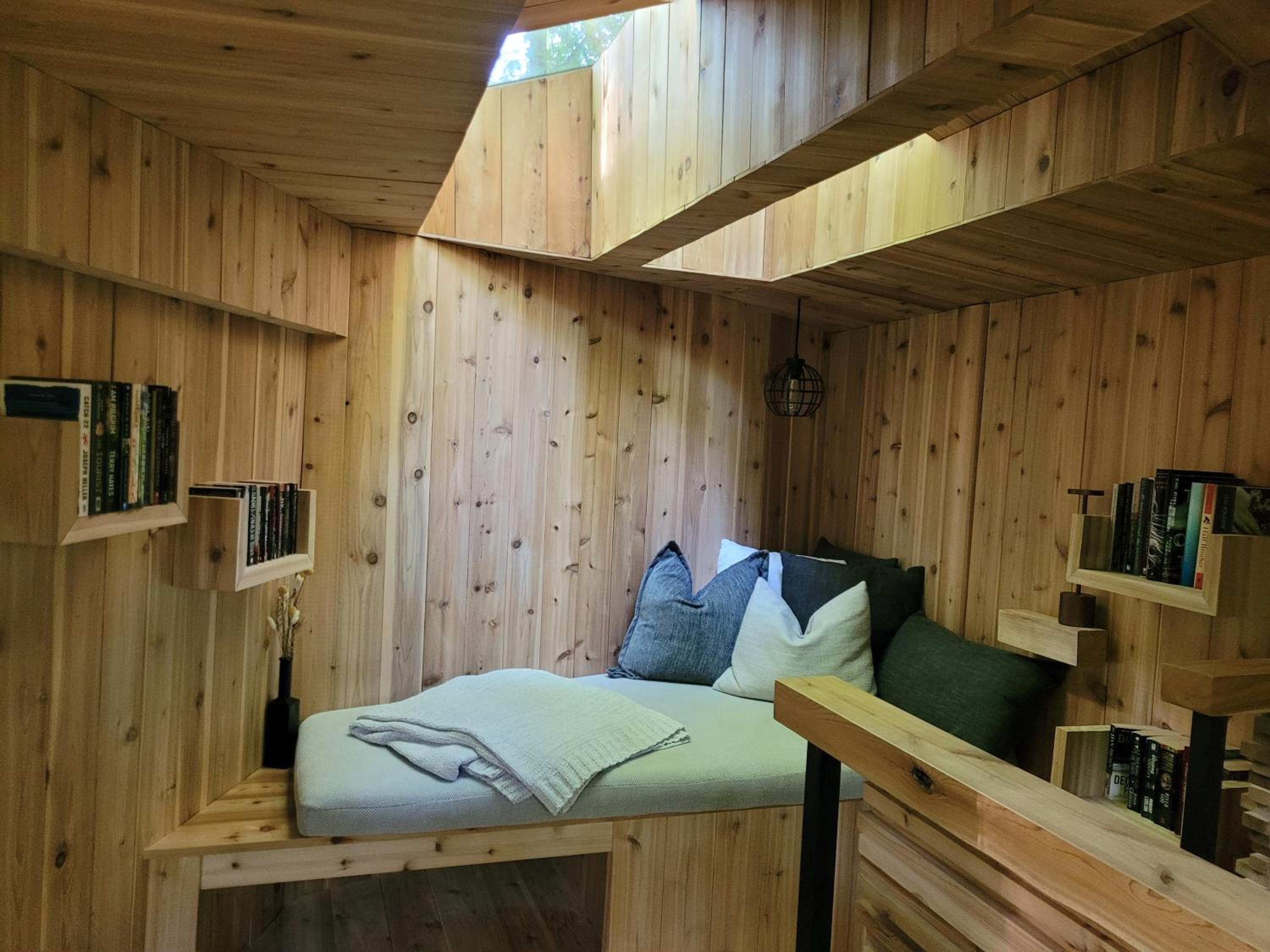 Black Pine Tree House
