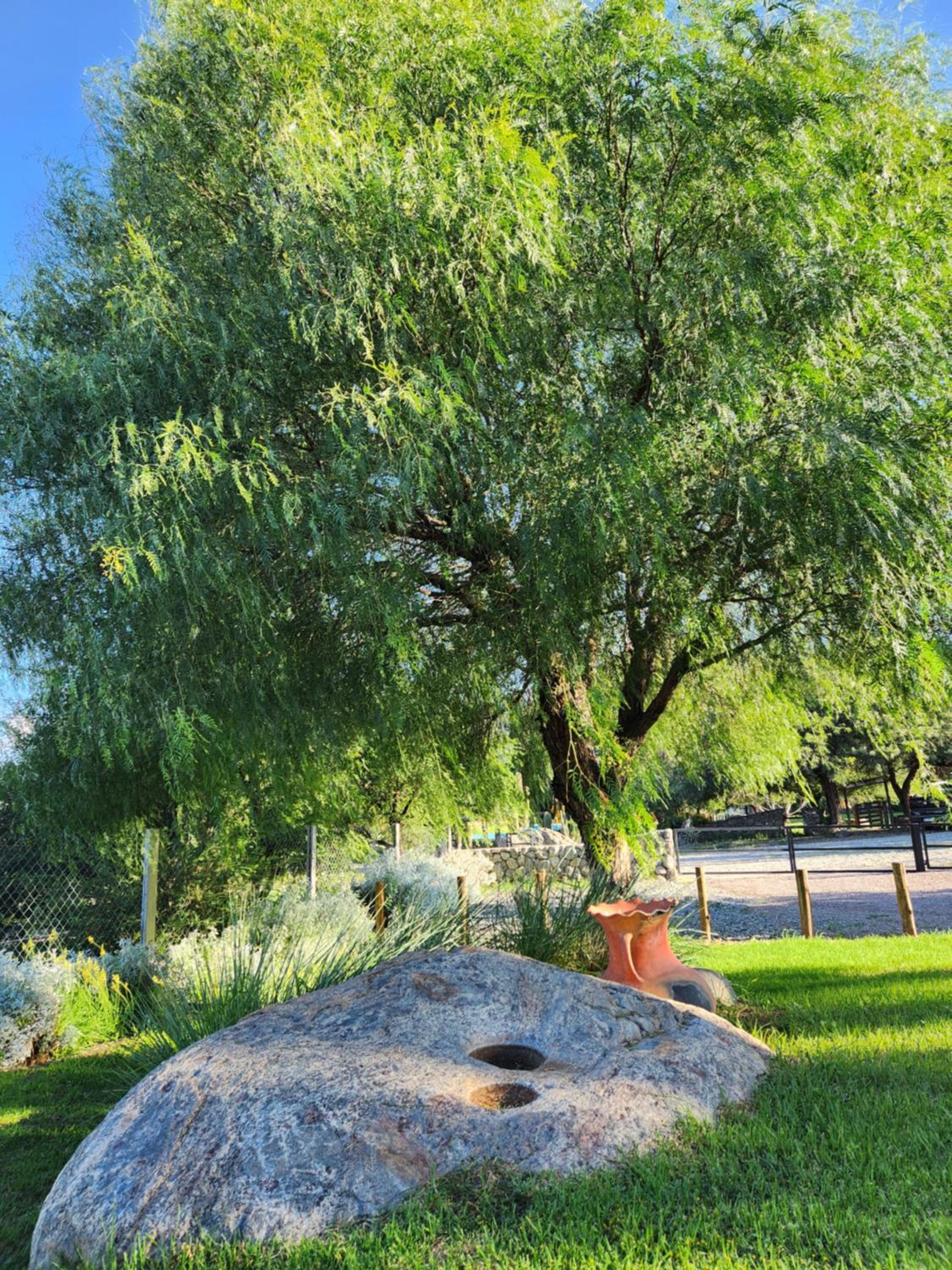 Vindecaf Cafayate Rentals