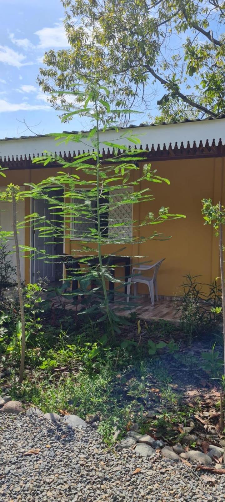 Apartamentos Sol