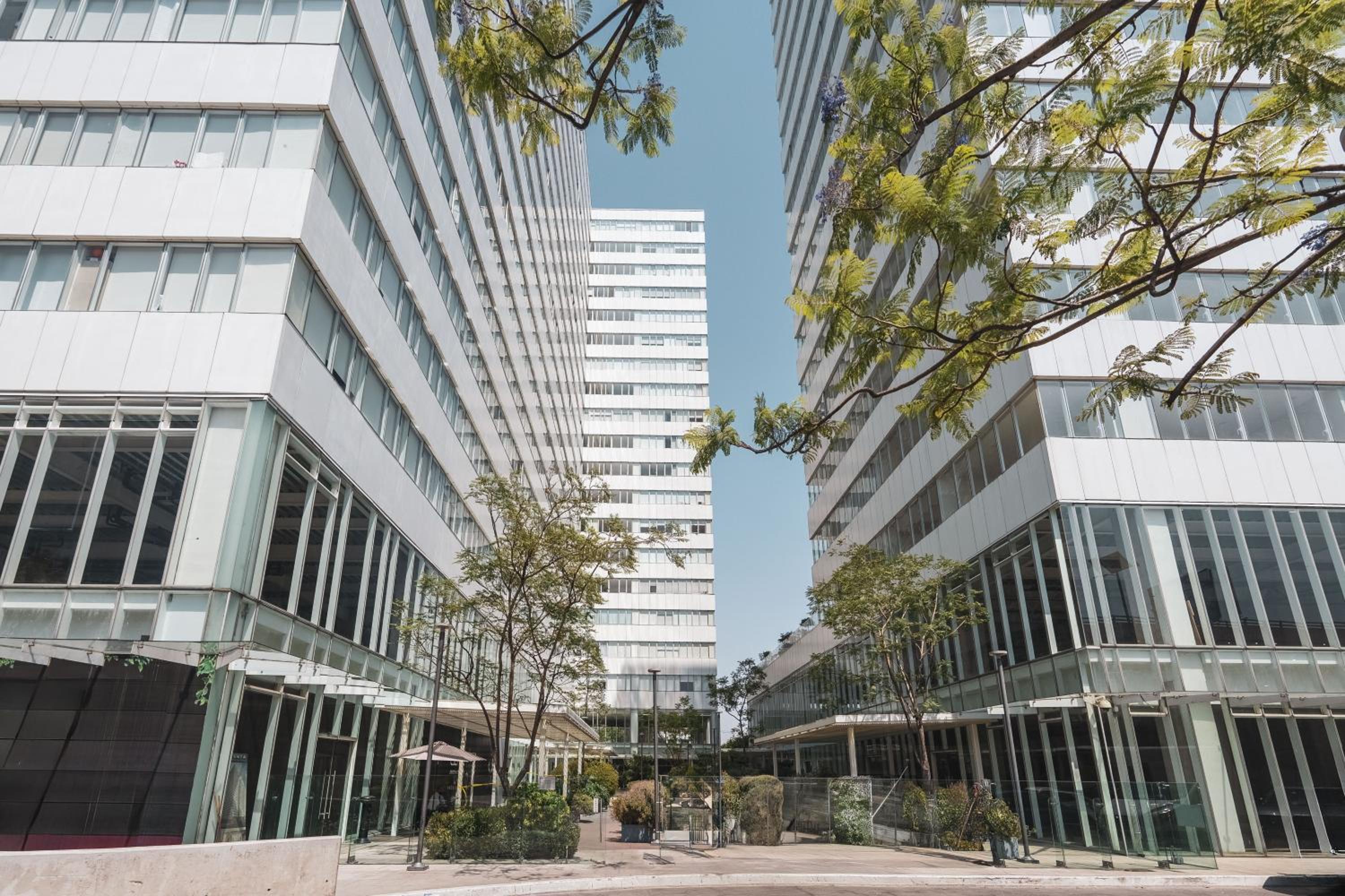 Hotel Isolda Suites Vistas del Bosque - Image 1