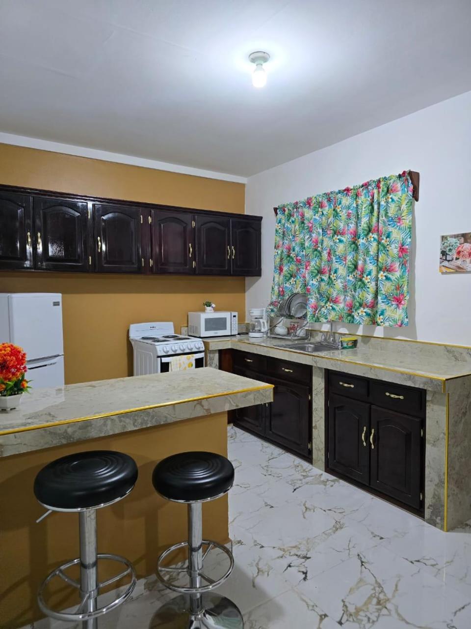 Cozy private APT in La Ceiba view 4