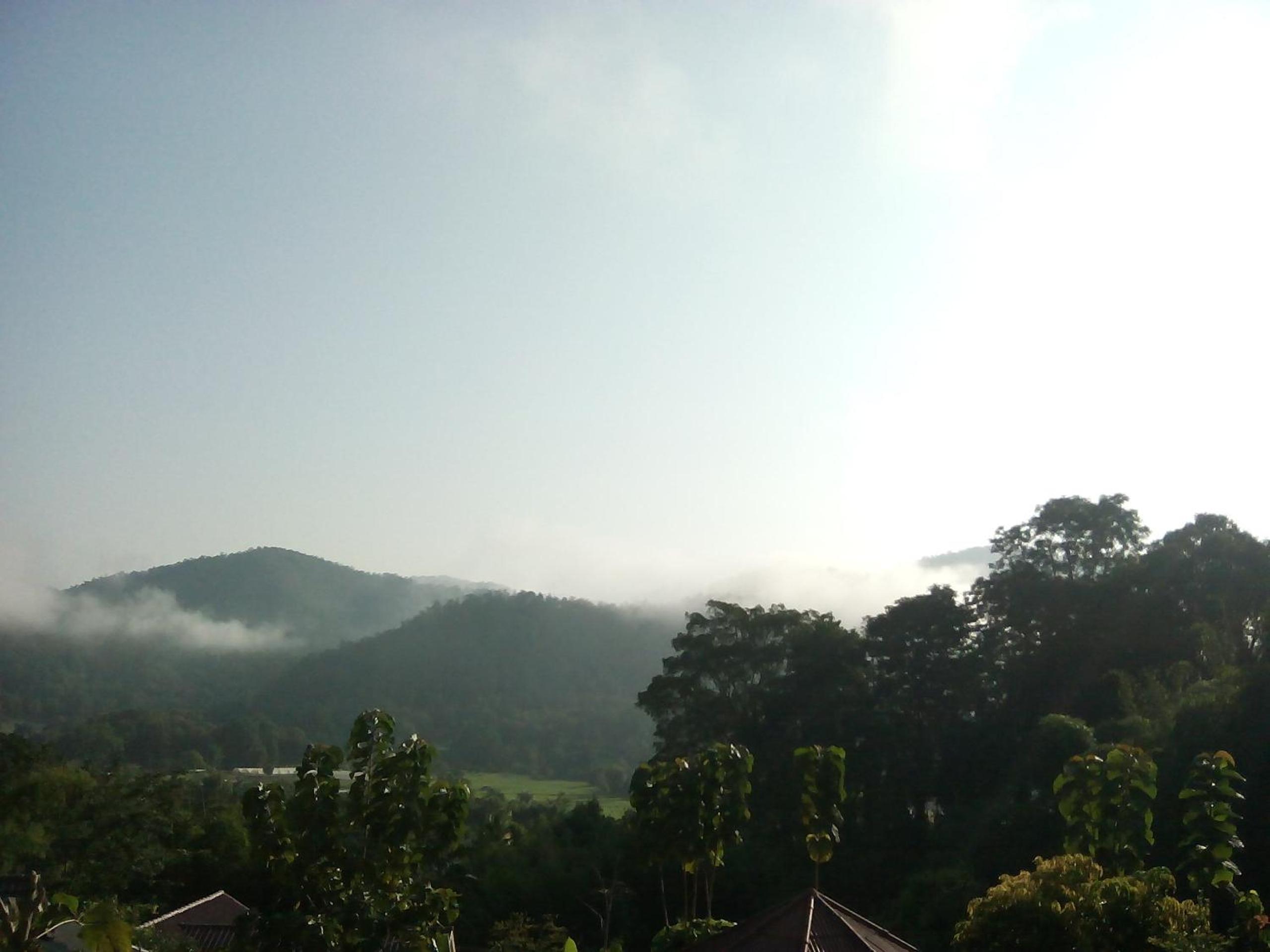 Forest Guesthouse