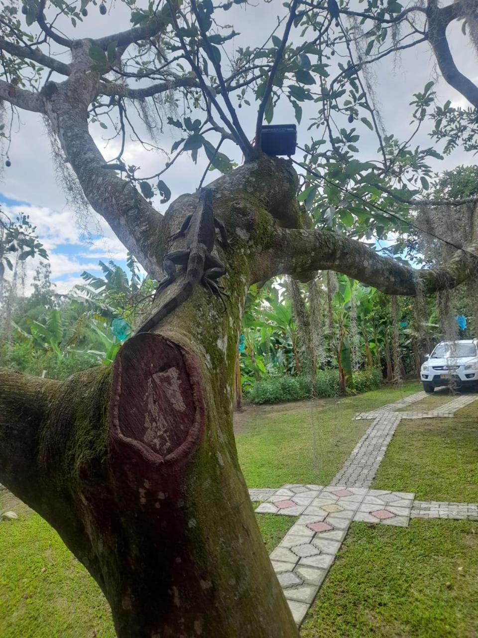 Cabañas la Miranda