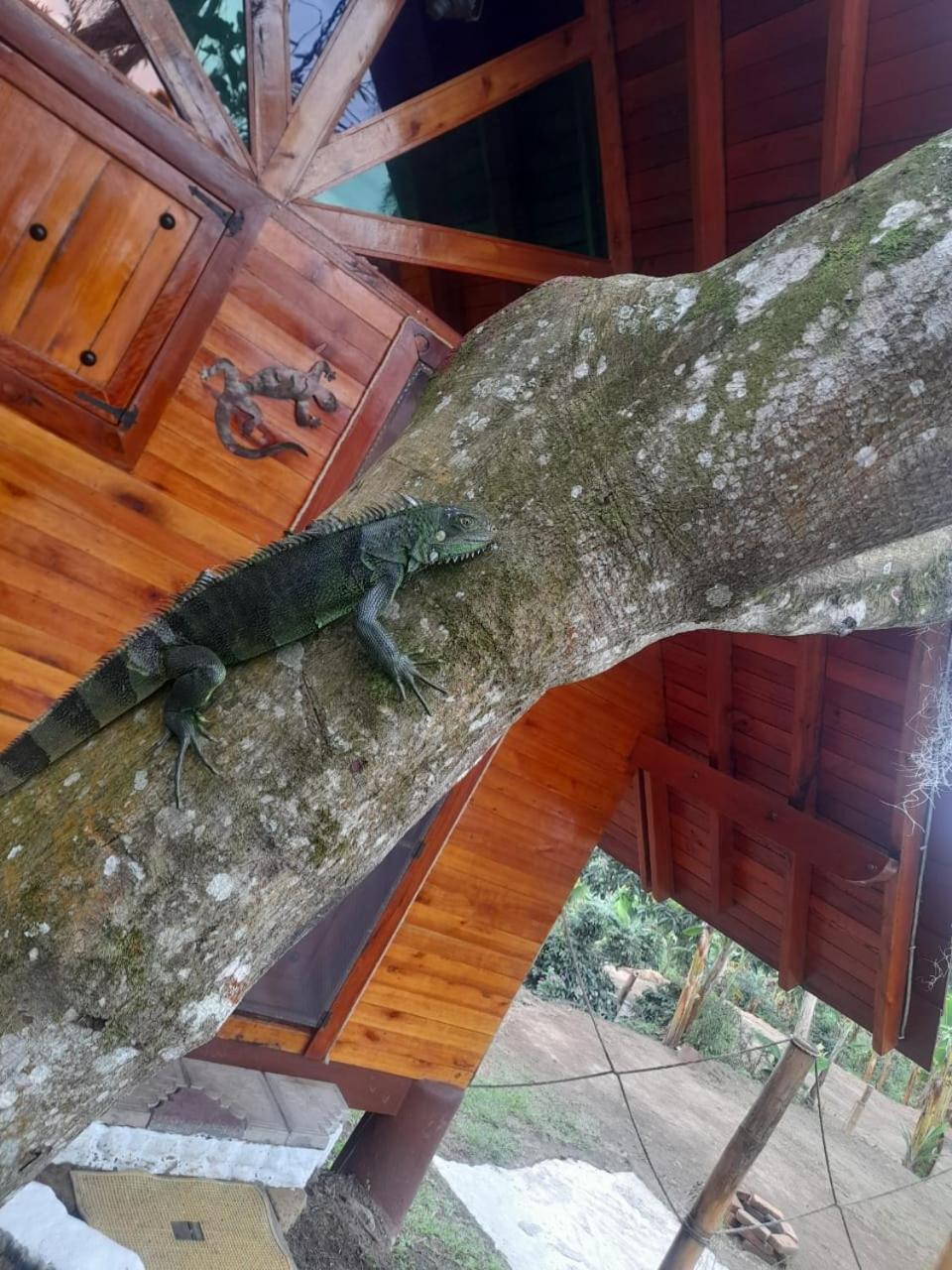 Cabañas la Miranda