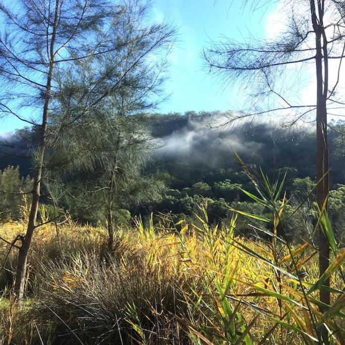 Nature Retreat & Artists Studio 90mins from Sydney