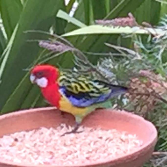 Nature Retreat & Artists Studio 90mins from Sydney