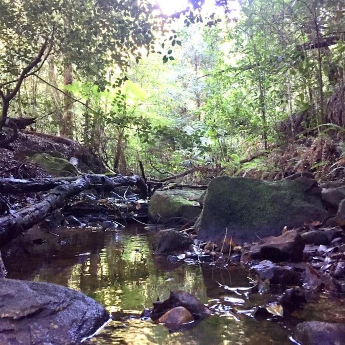 Nature Retreat & Artists Studio 90mins from Sydney