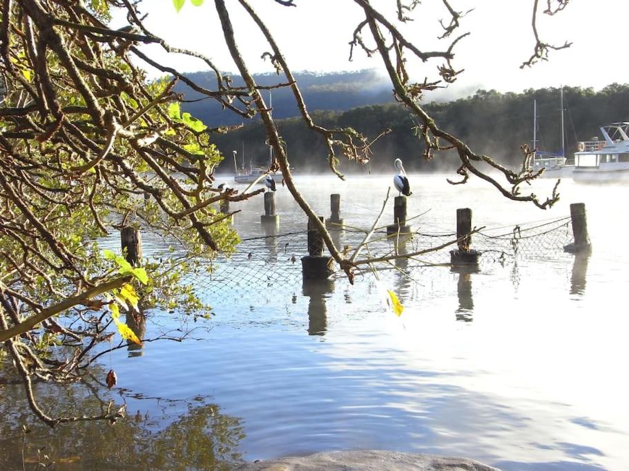 Nature Retreat & Artists Studio 90mins from Sydney