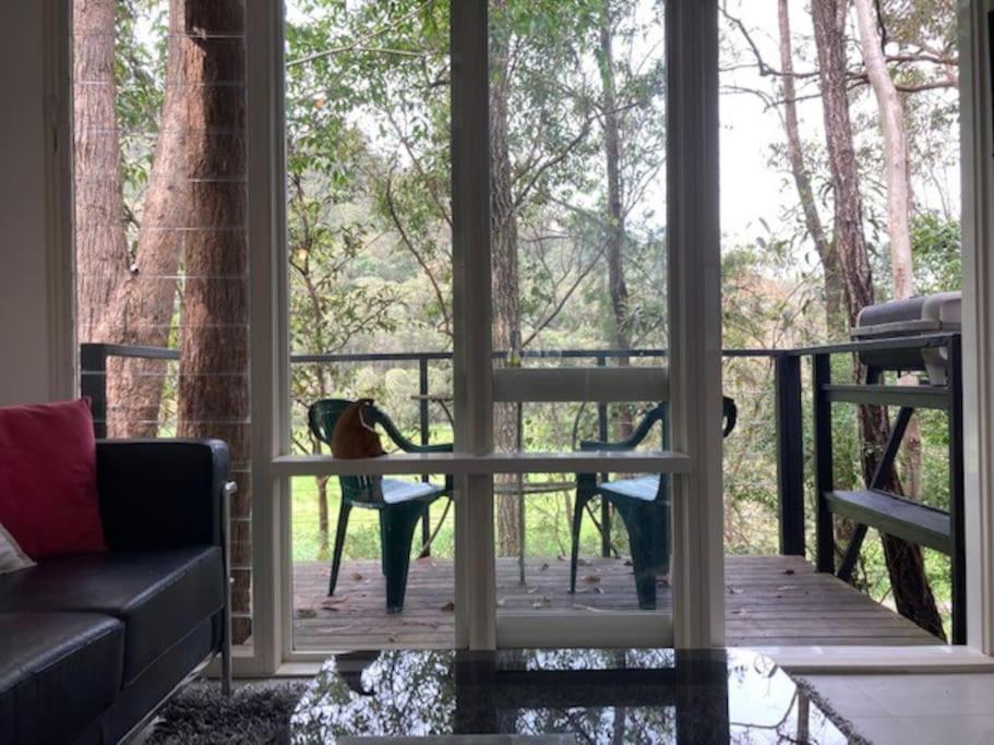 Nature Retreat & Artists Studio 90mins from Sydney