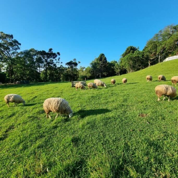 Cabana Alpen Dorf 1 - São Francisco de Paula