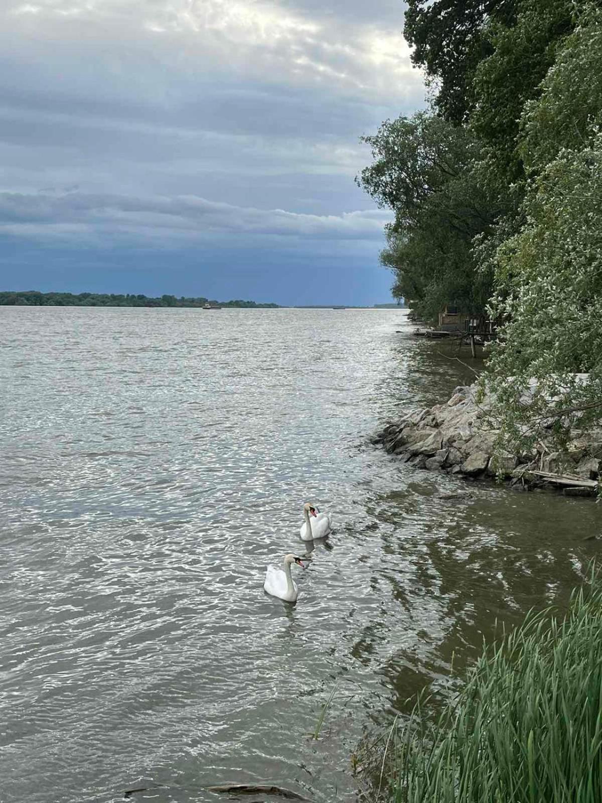 Beli Dvor na Dunavu