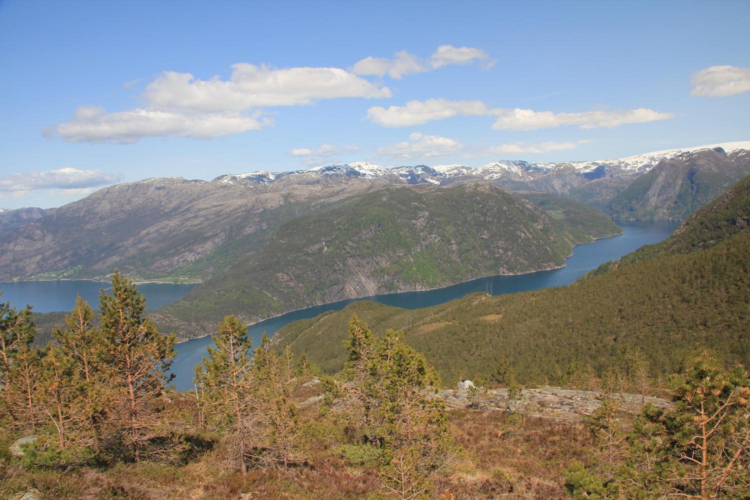 Photo 23