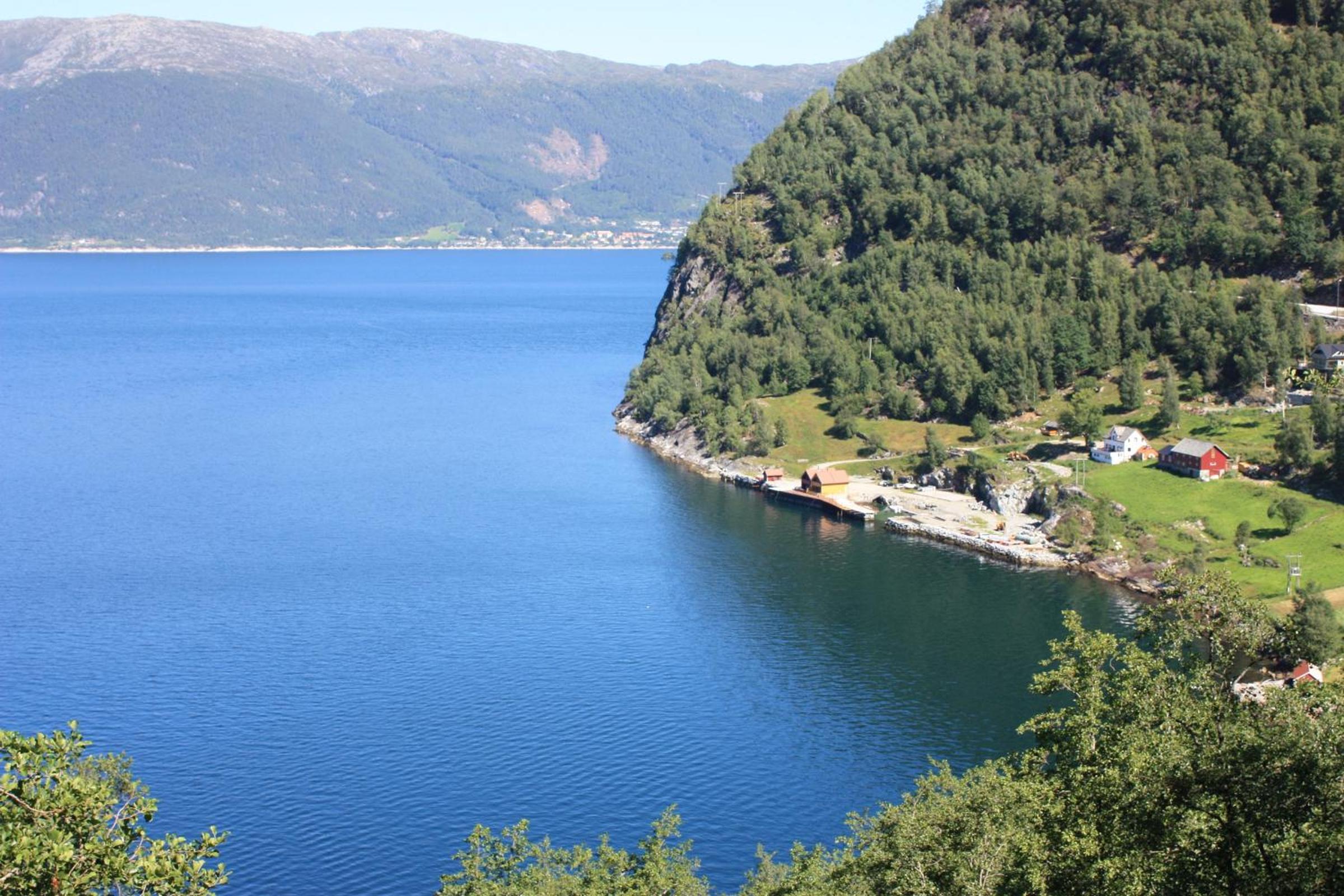 Fjordhytte-16 direkt am Sognefjord in Bjordal, mit mietbaren 9,9 PS bis 60 PS Motorbooten view 3
