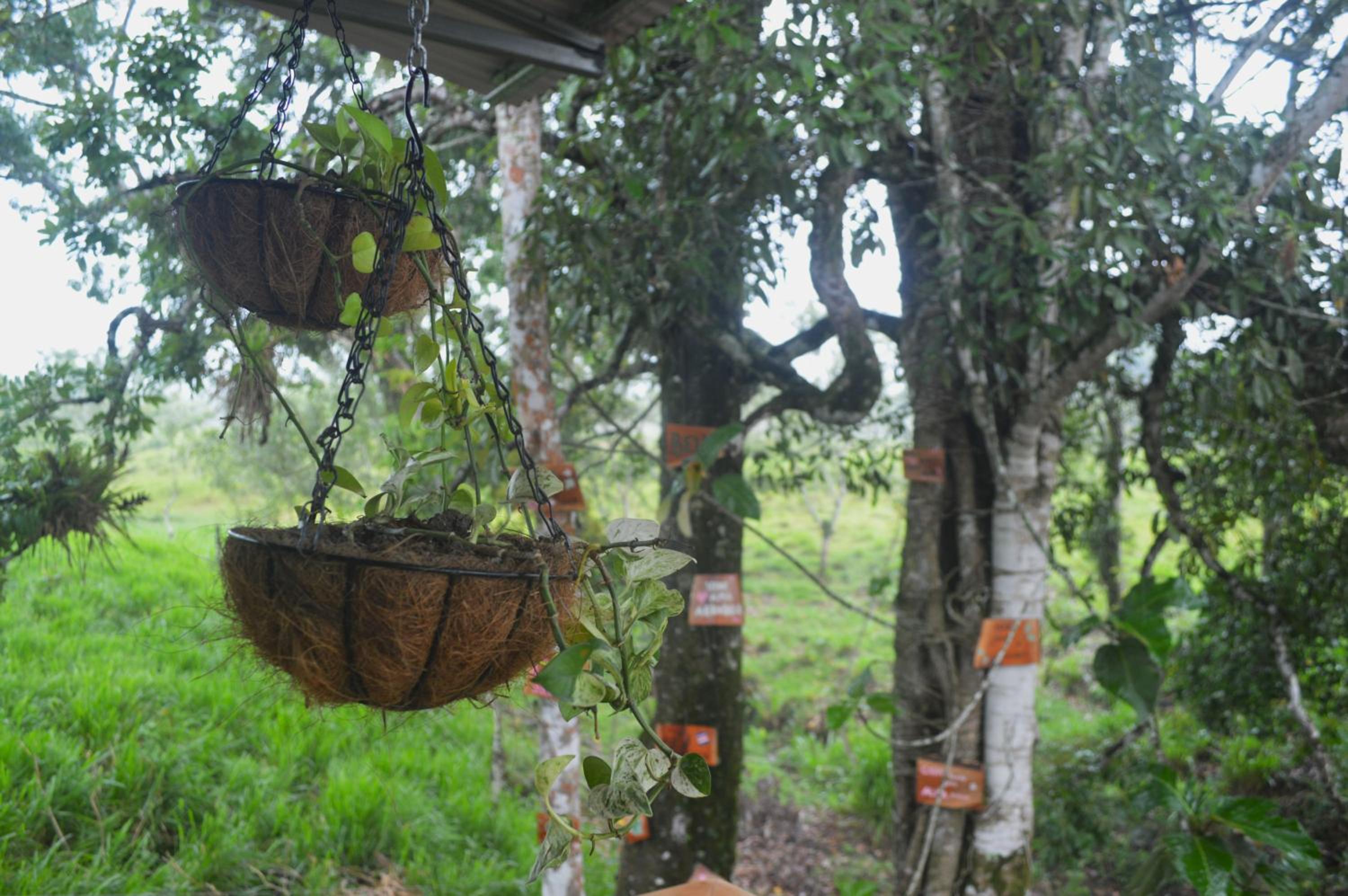 Rincón Sereno San Carlos