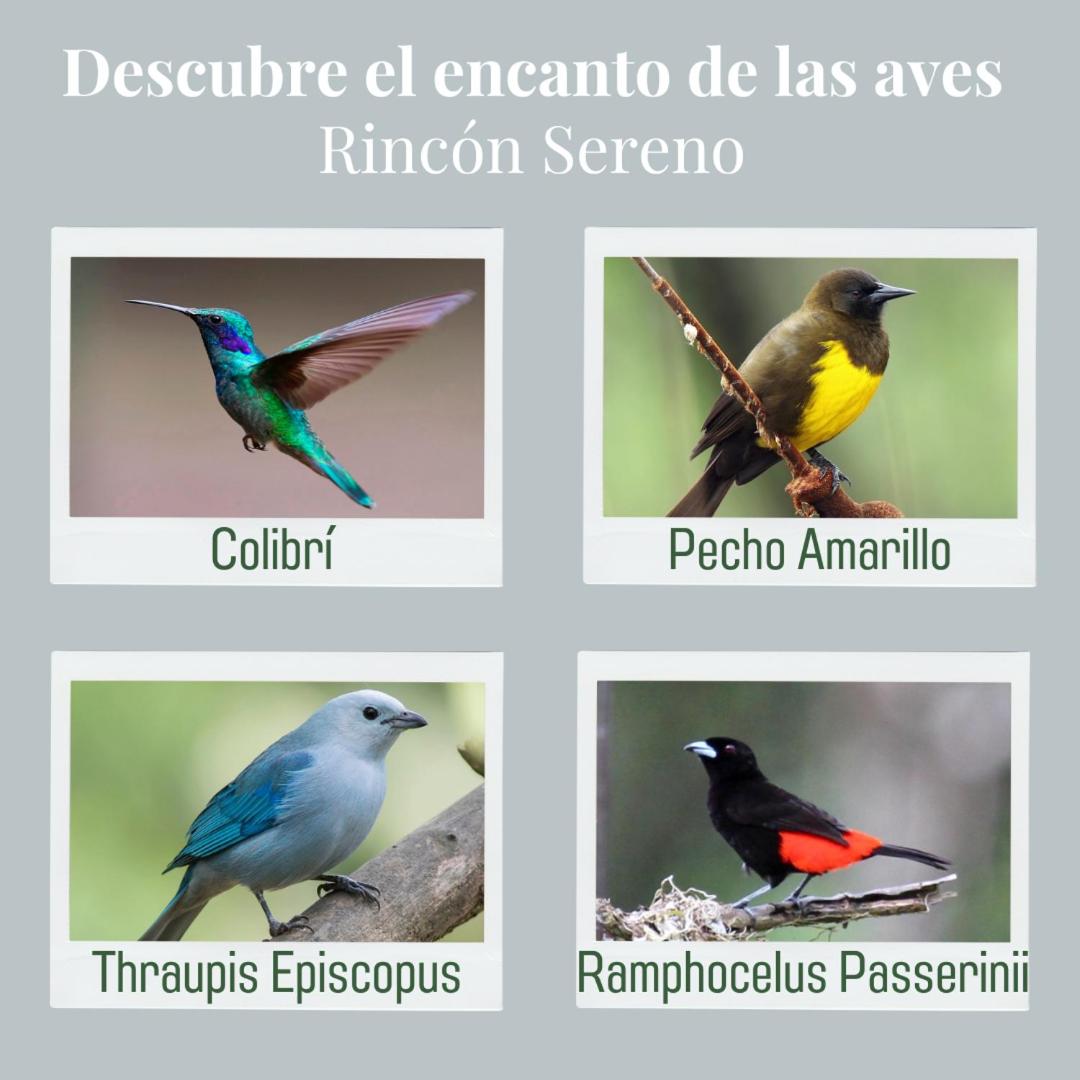 Rincón Sereno San Carlos