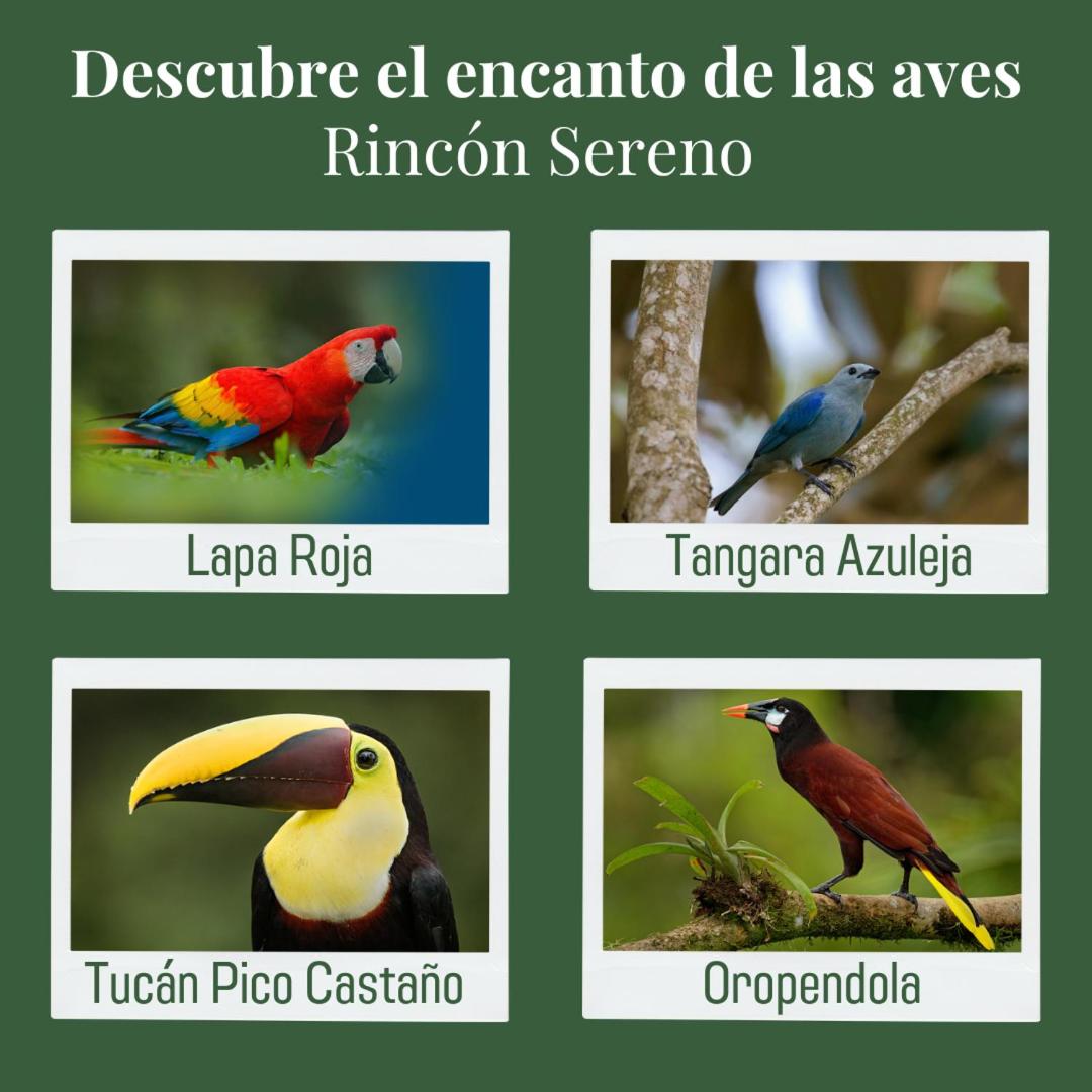 Rincón Sereno San Carlos