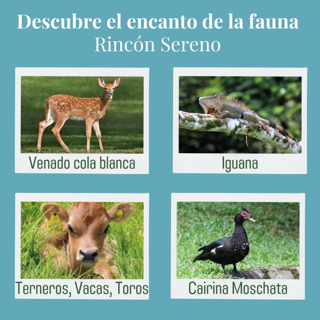 Rincón Sereno San Carlos