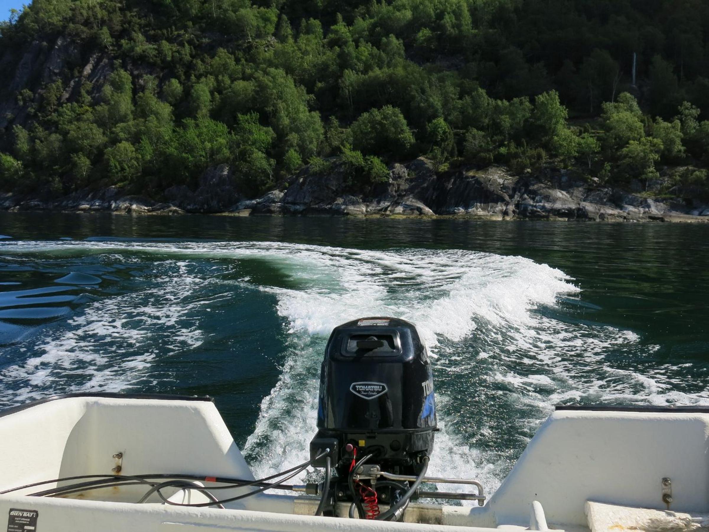 Photo 42