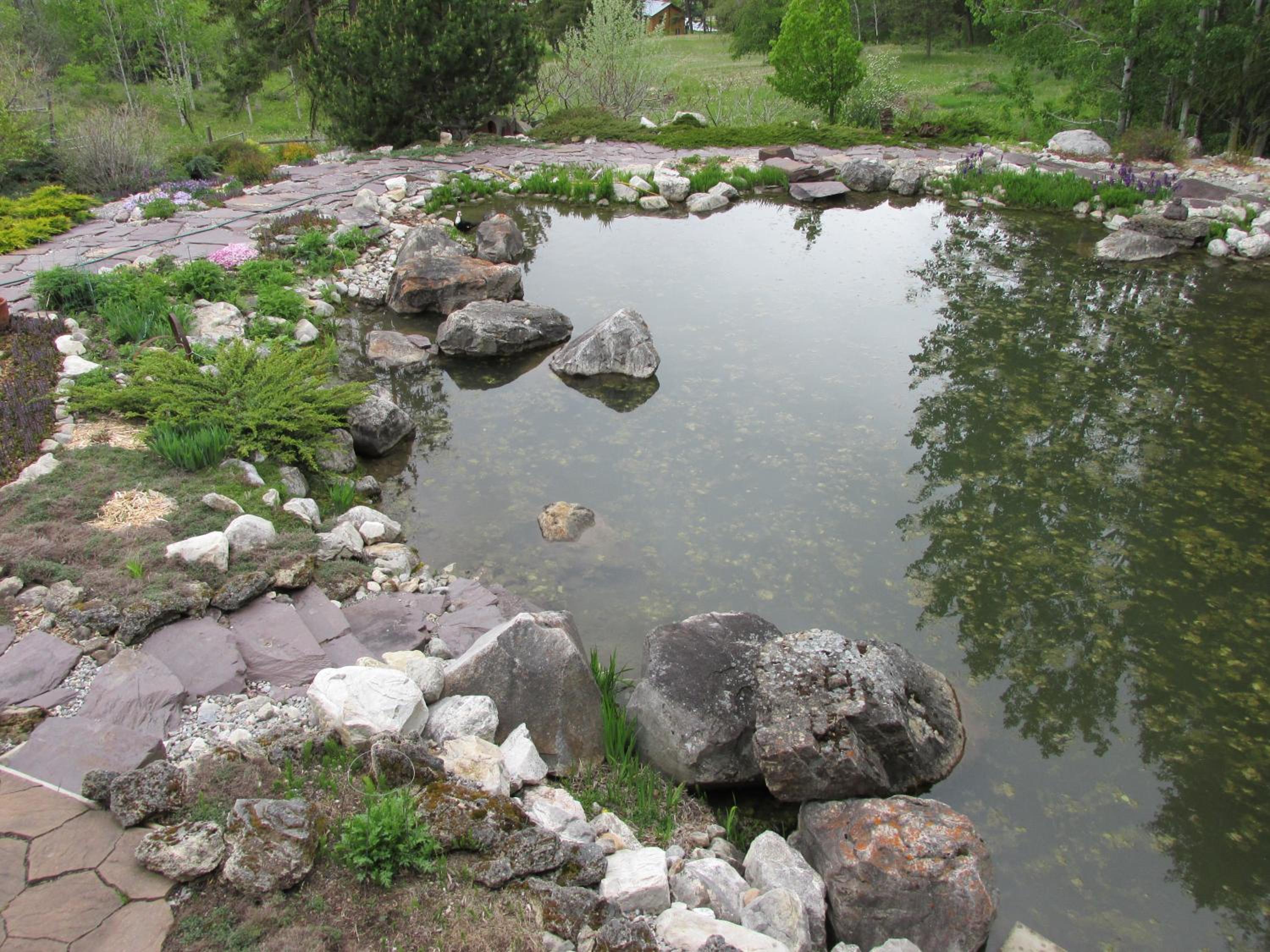 beard's creek bed and breakfast