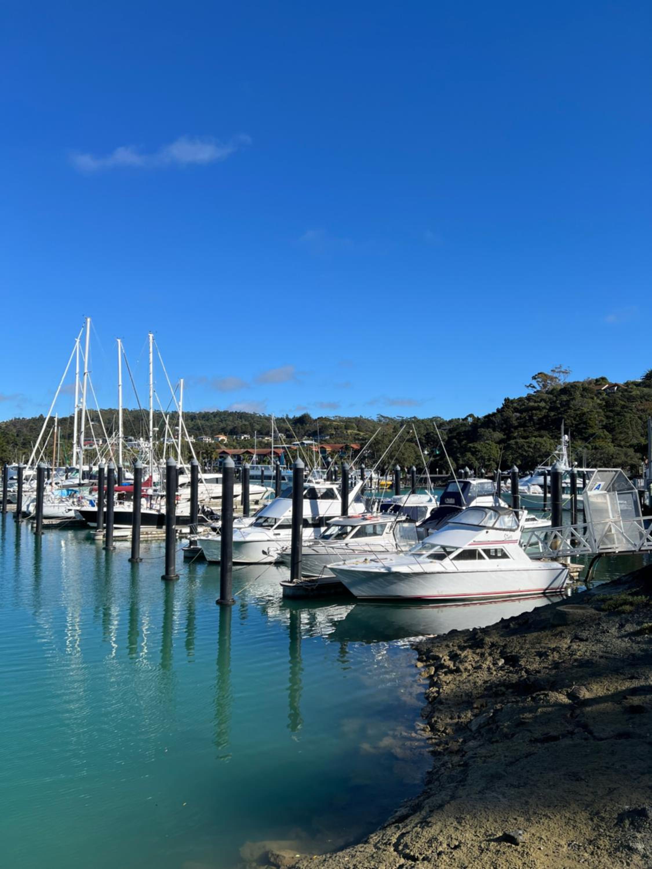 Tutukaka Sunrise