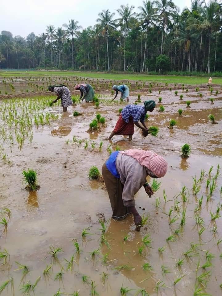 Bhuvanam homestay