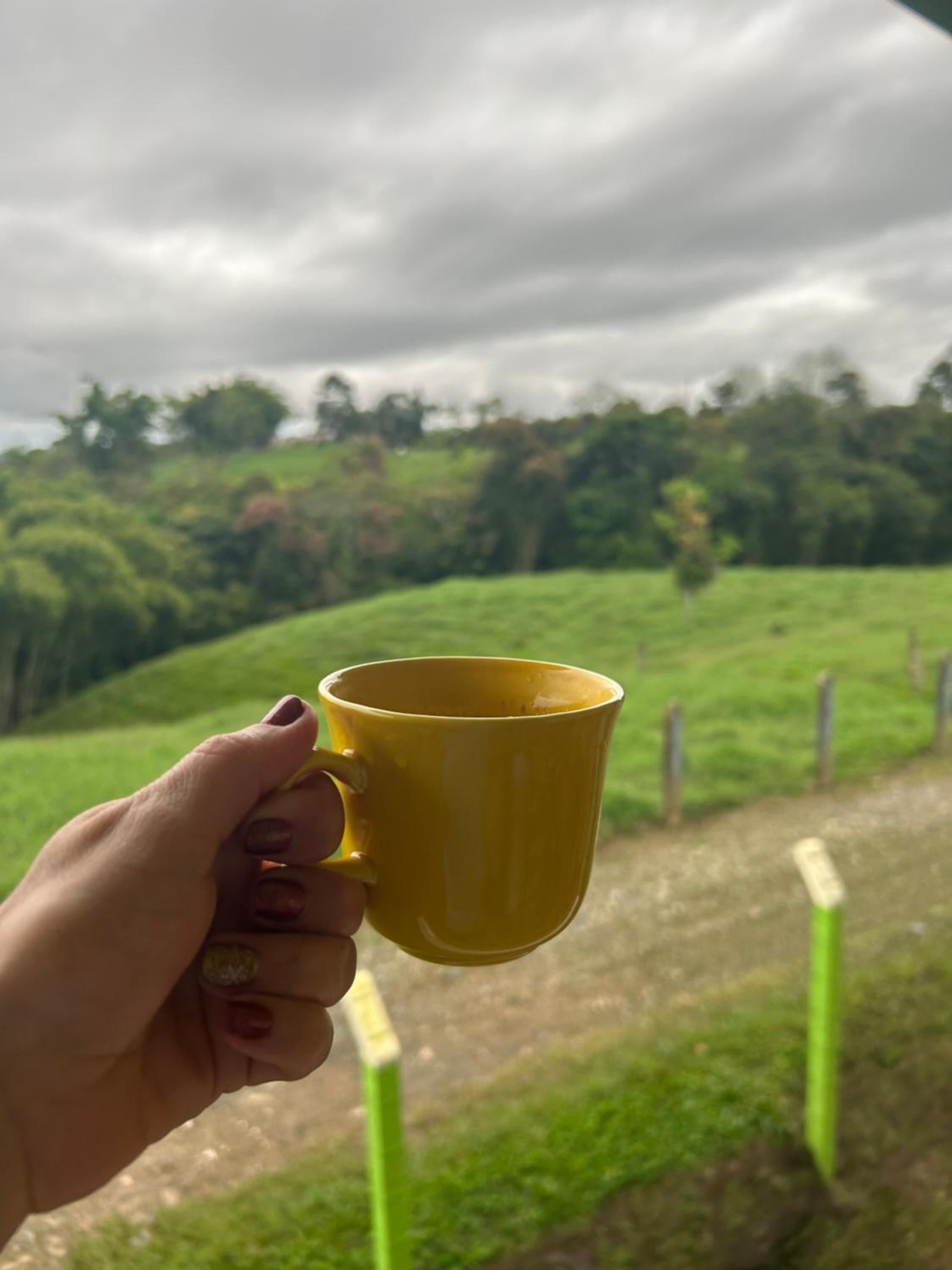 Finca El Porvenir