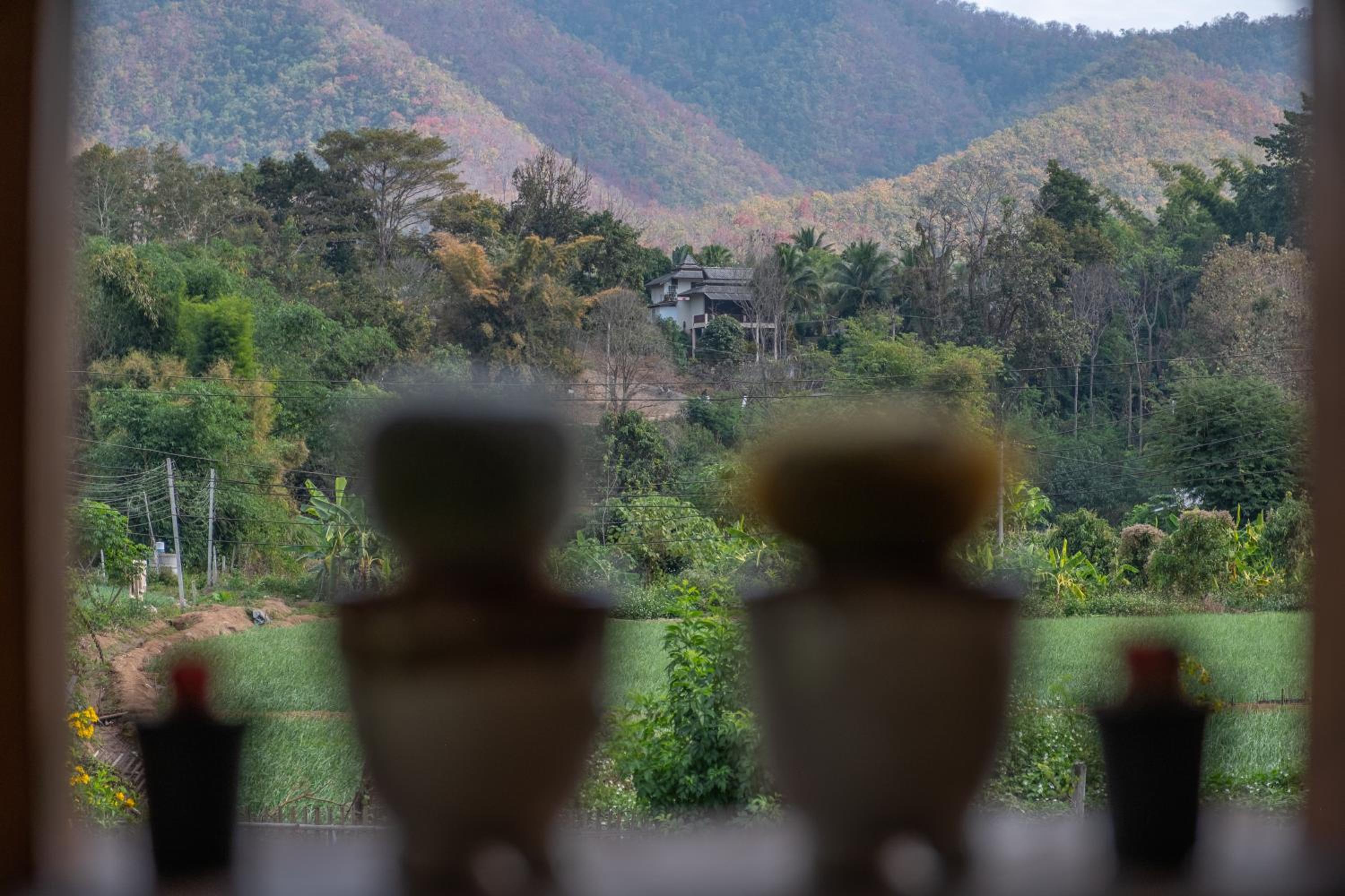 The Nest House view 5