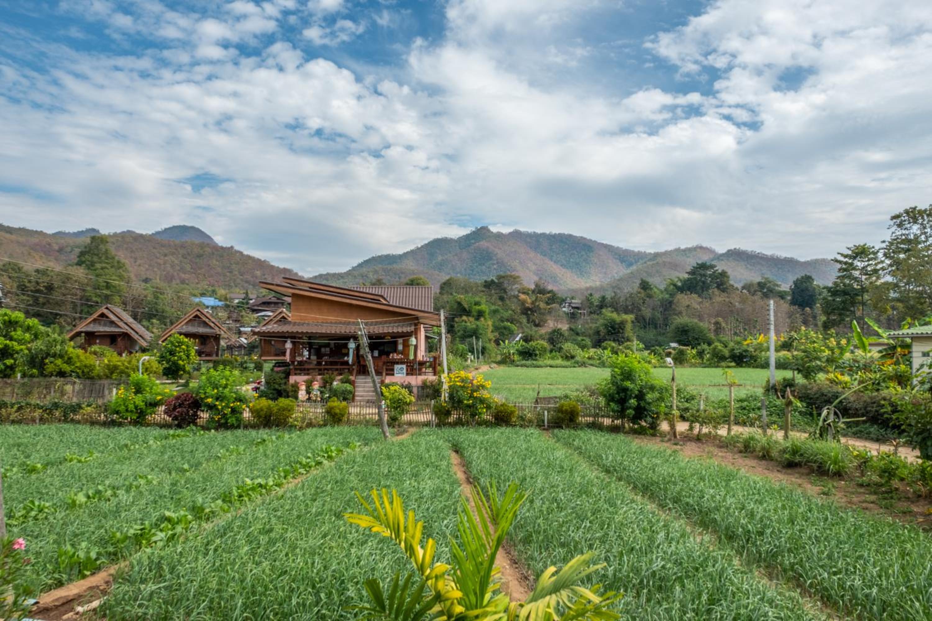 The Nest House view 4