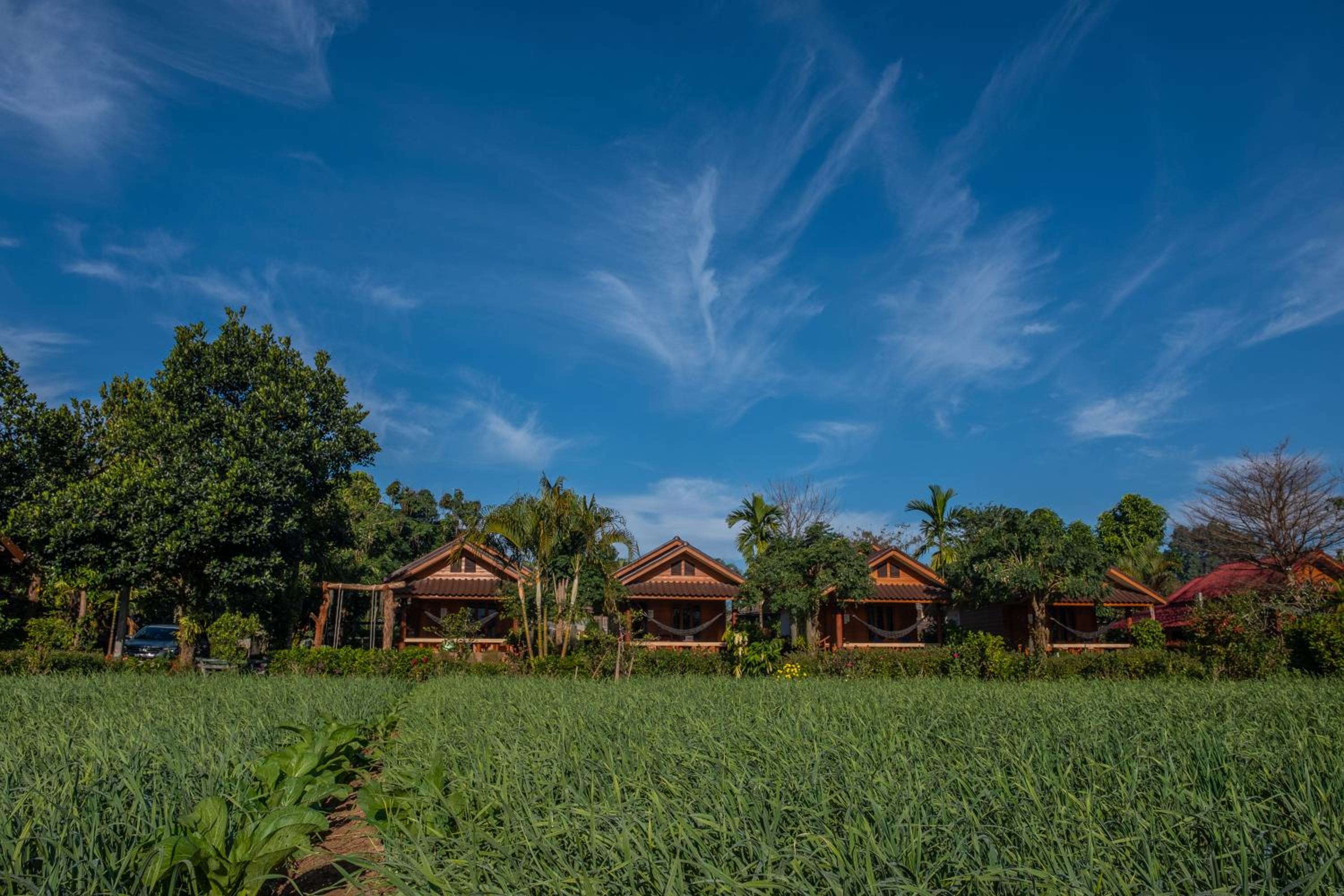 The Nest House view 3