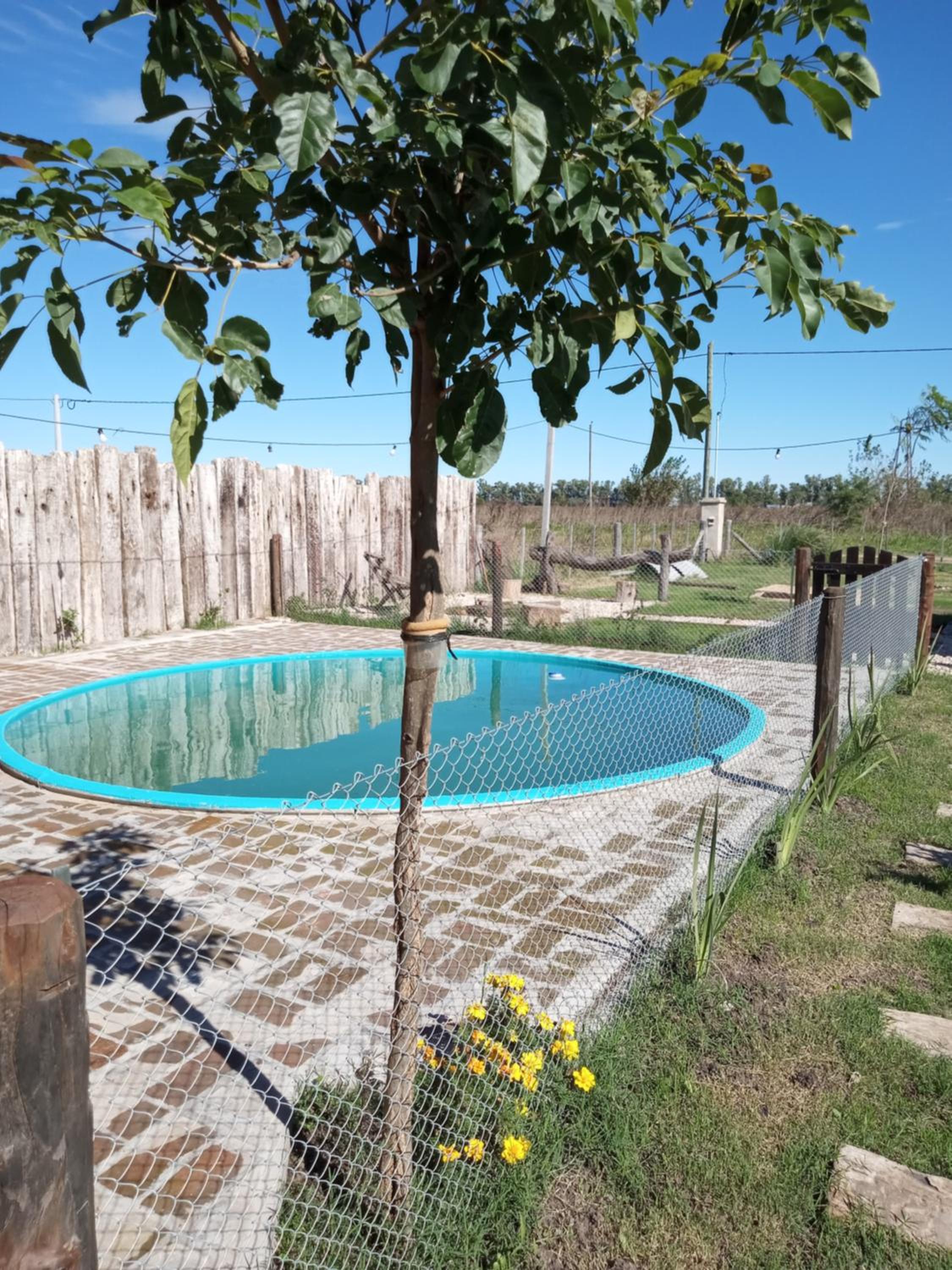 El comienzo