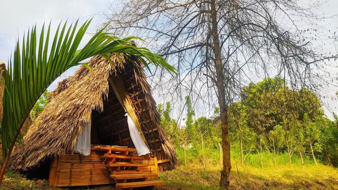 camping reservas del jordan