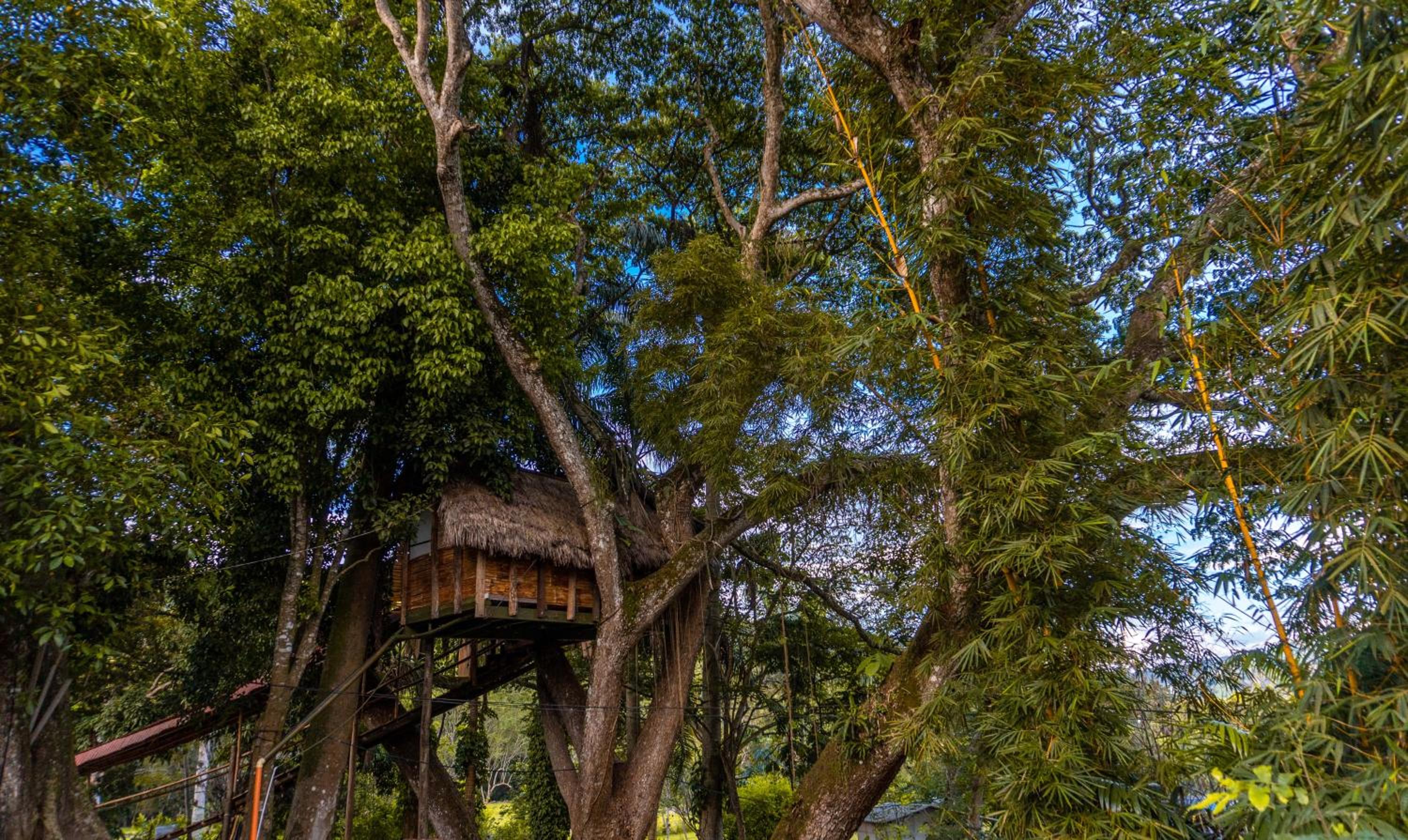 camping reservas del jordan