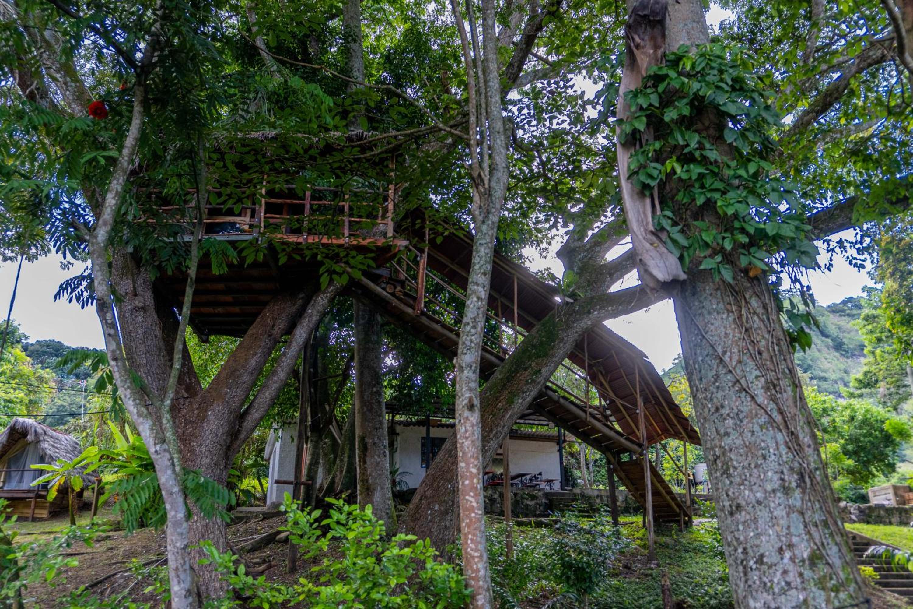 camping reservas del jordan