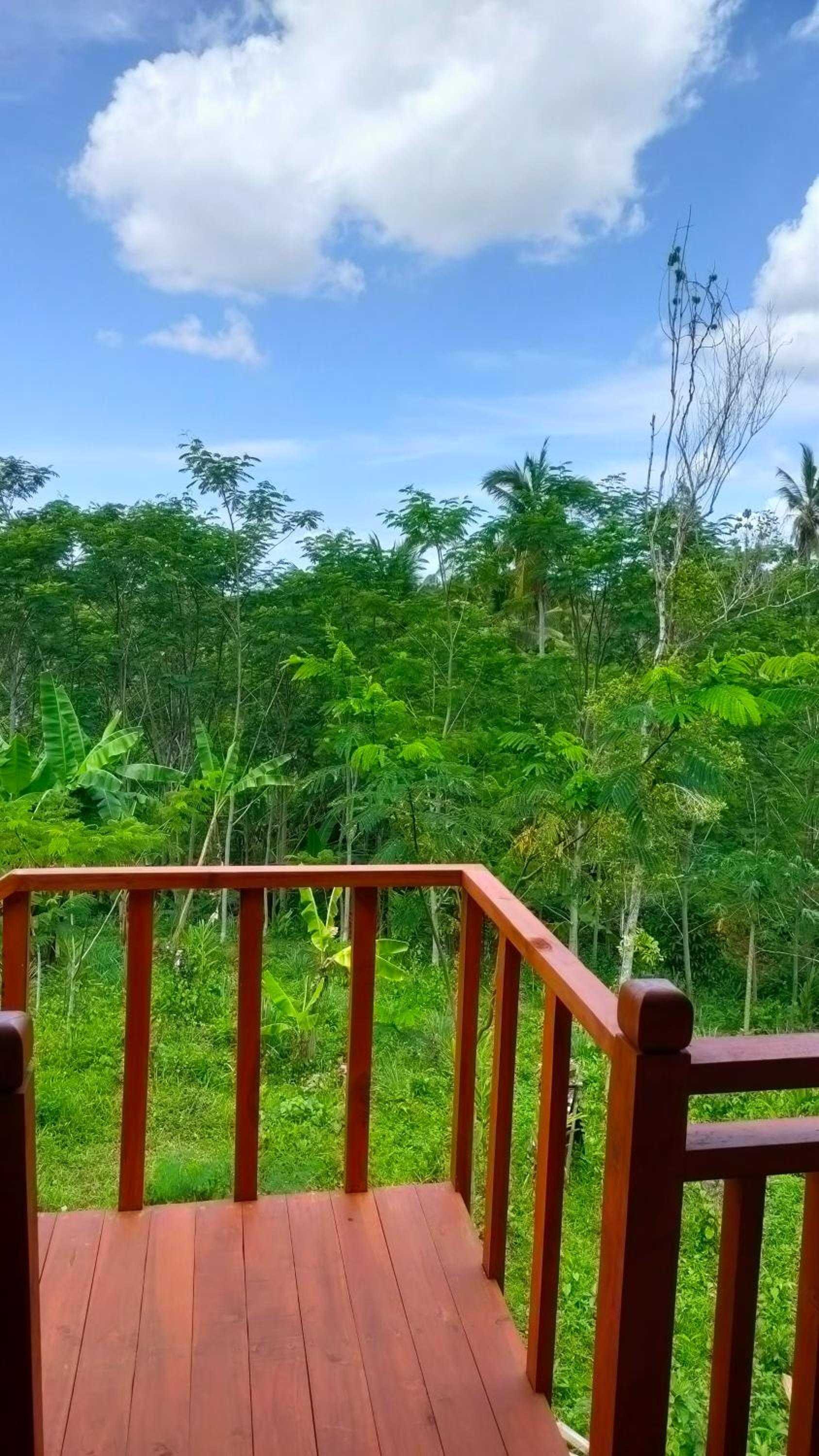 Albizia Chalet