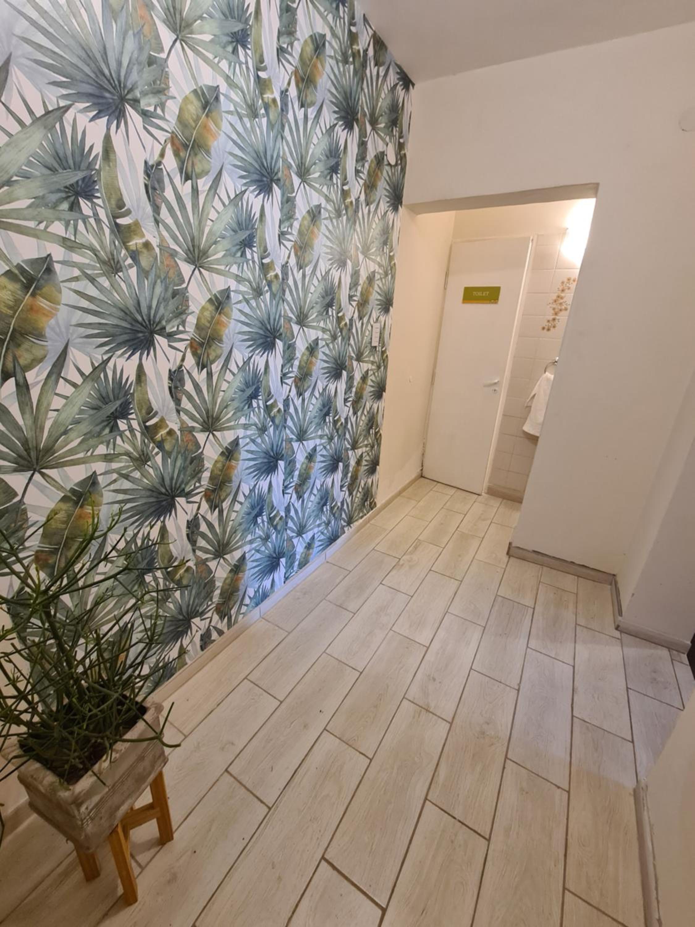 LA CASA de la ALEM 2