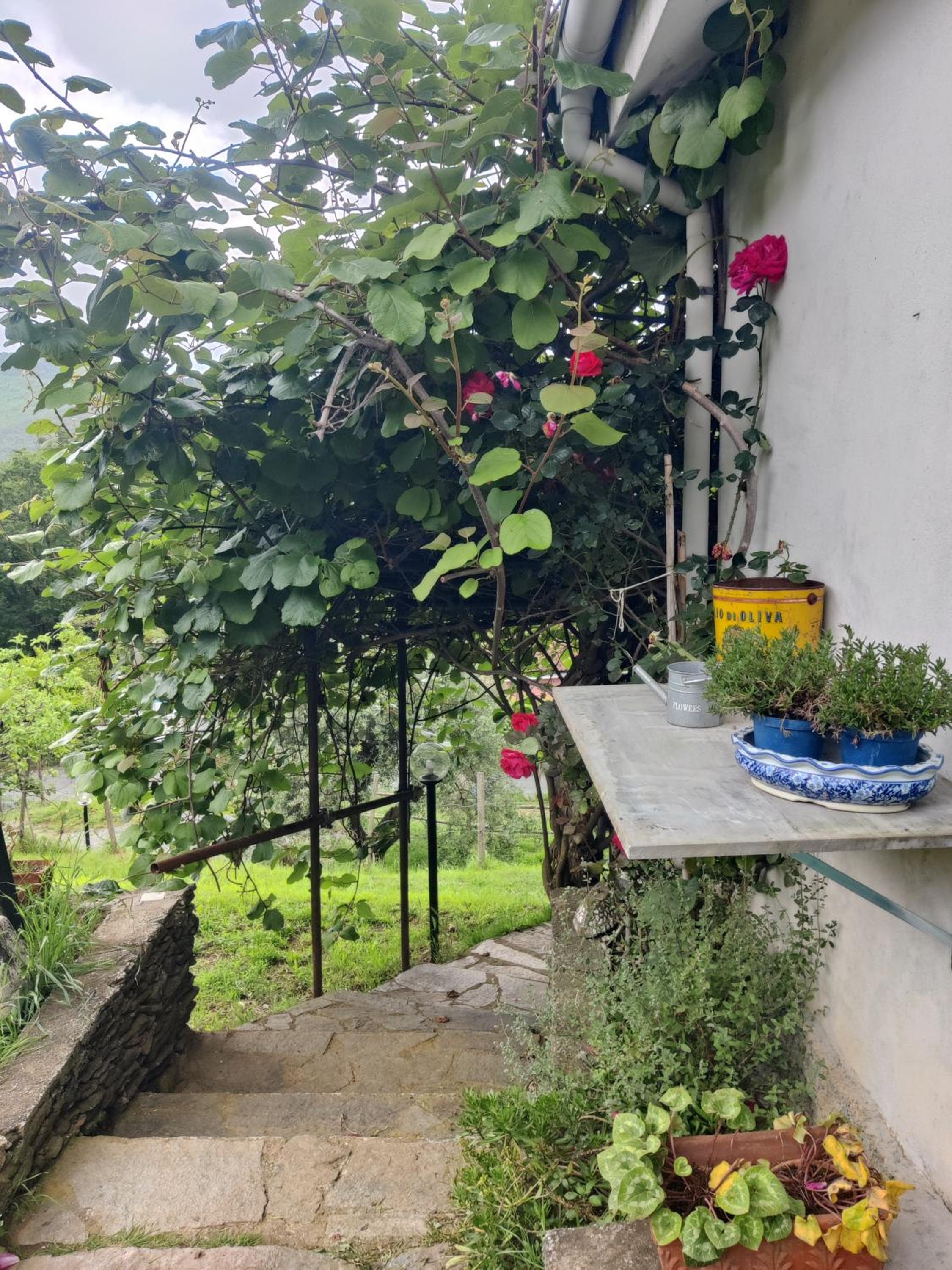 Casa Bartola view 3