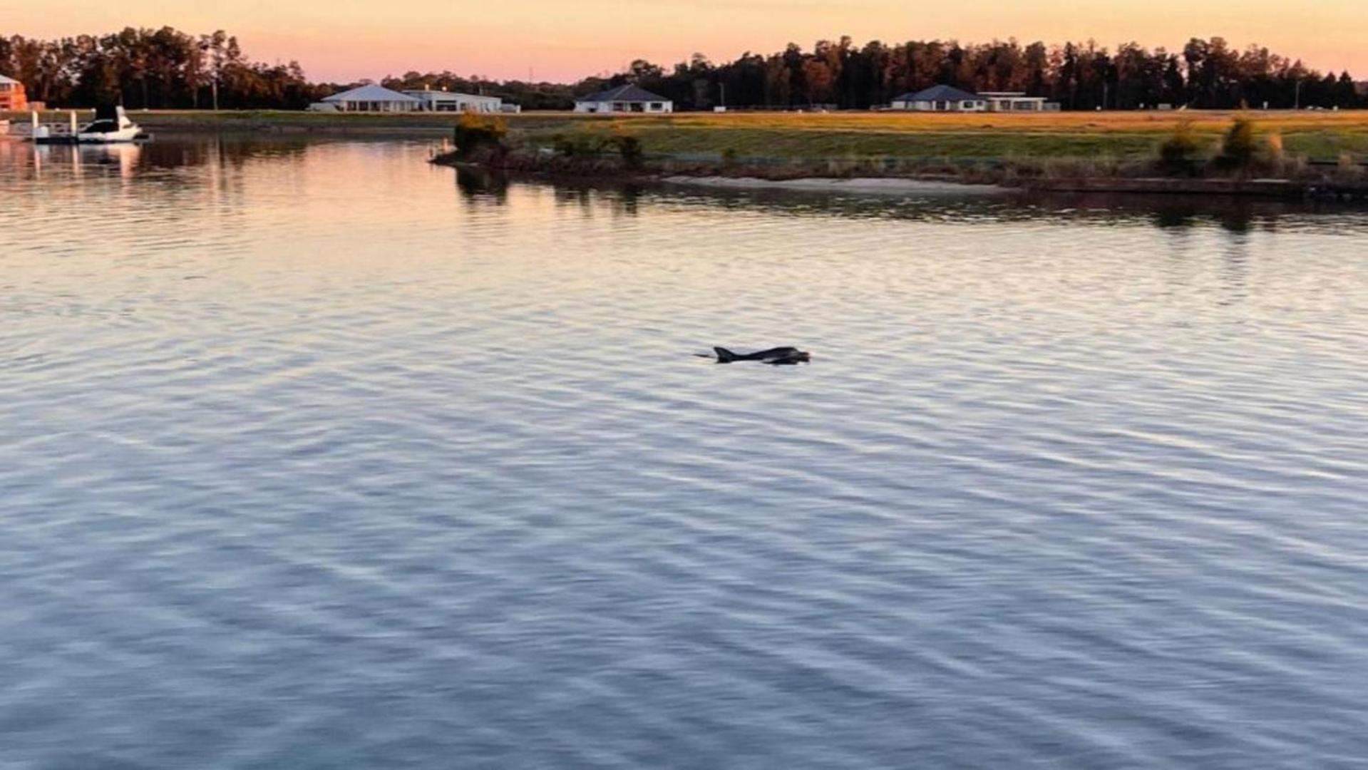 Sunsets AT 101 - Pet Friendly Waterfront - Holiday Yamba
