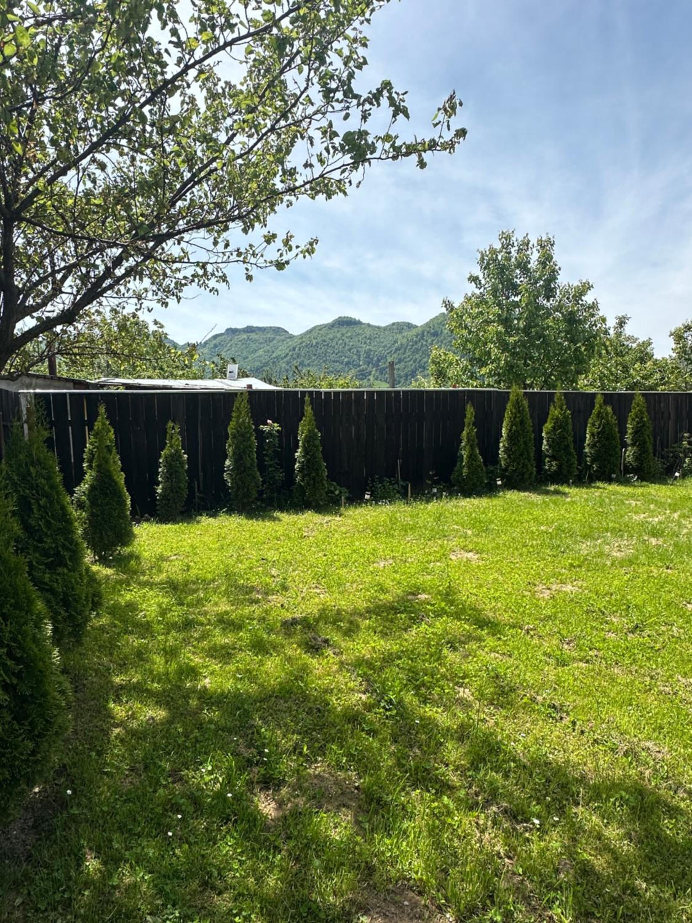 Zorilor Garden Duplex