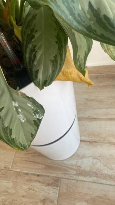 Cómodo Apto familiar con balcón