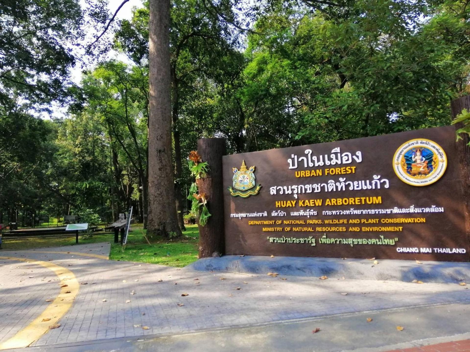 XX GO INN Chiang Mai University - CMU โกอินน์ มหาวิทยาลัยเชียงใหม่