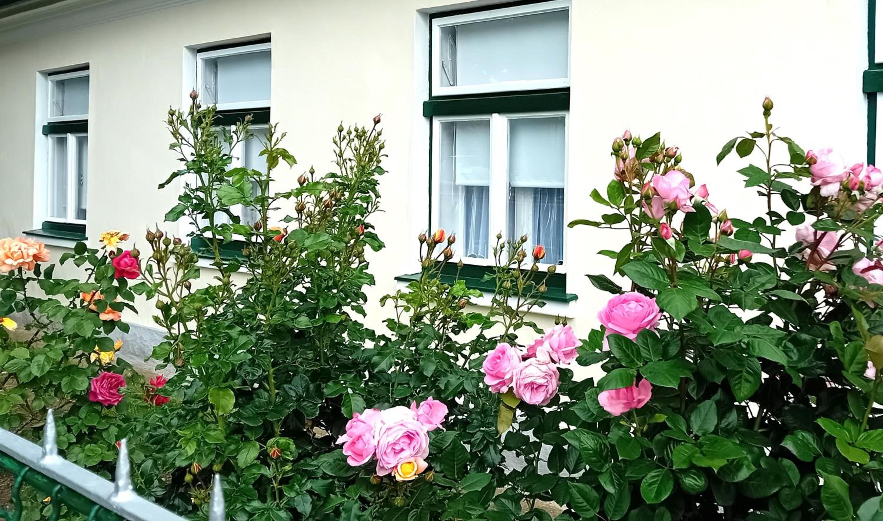 Ferienhaus Anna