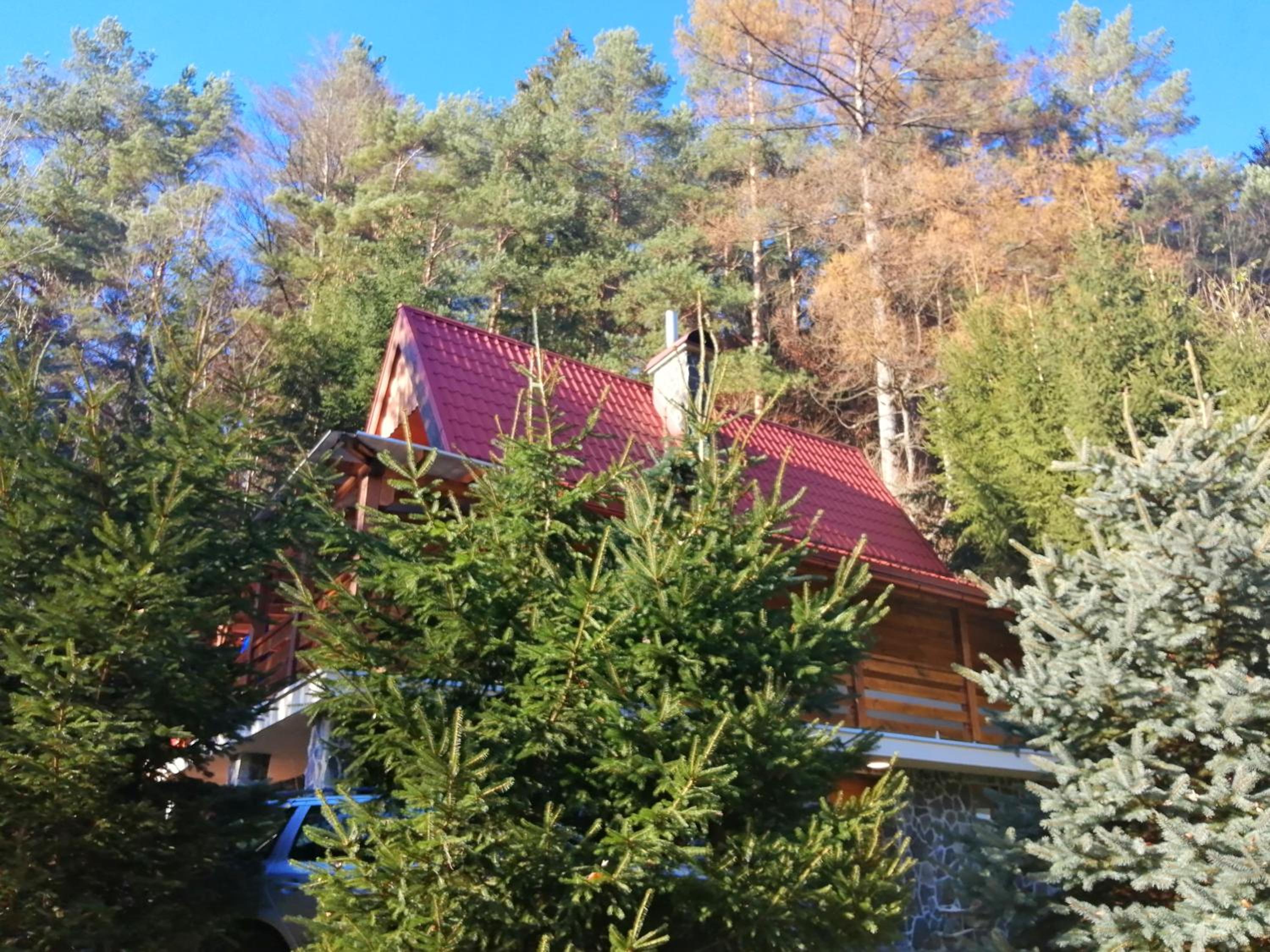 Photo 9
