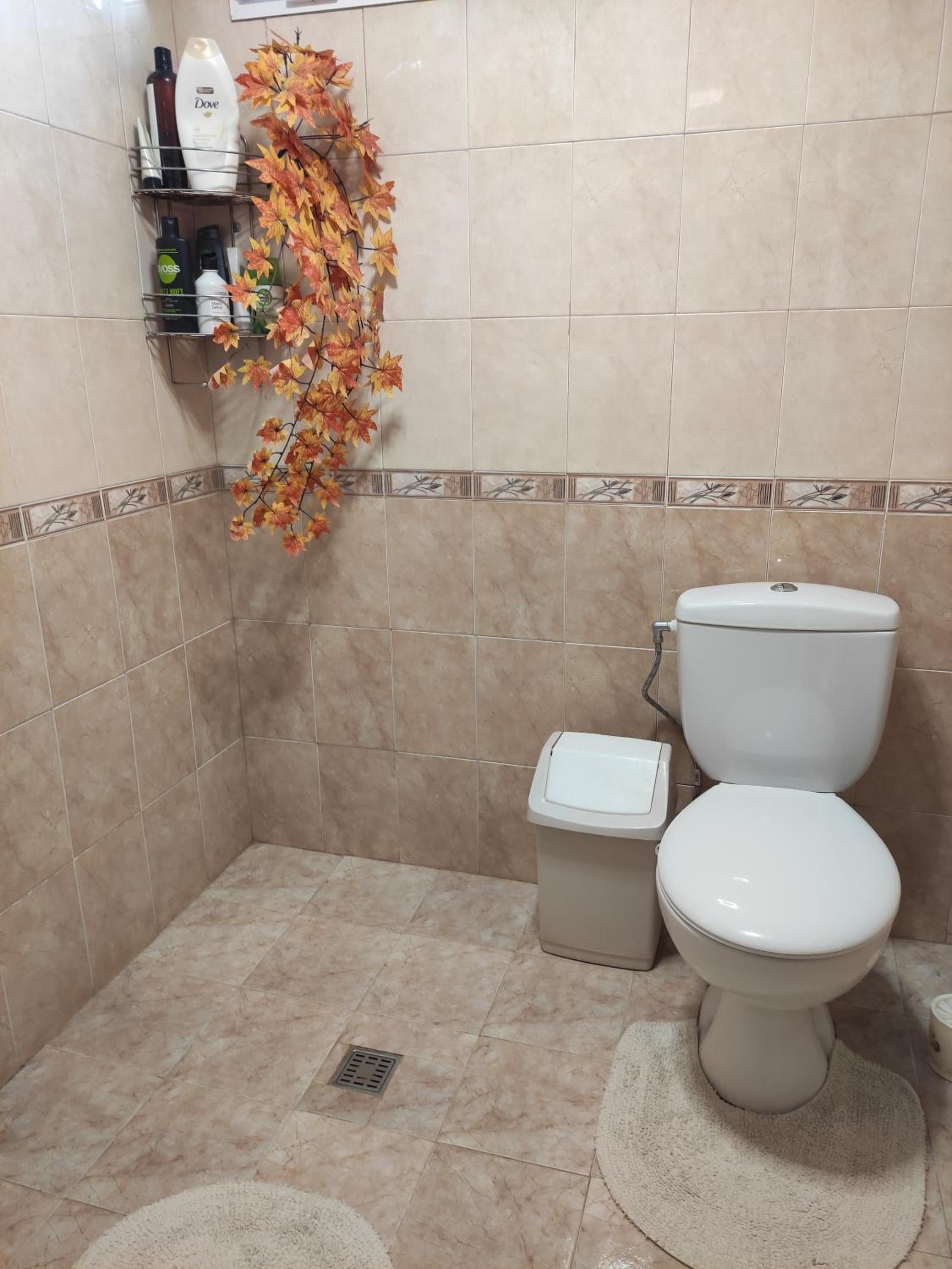 Guest house Charodea