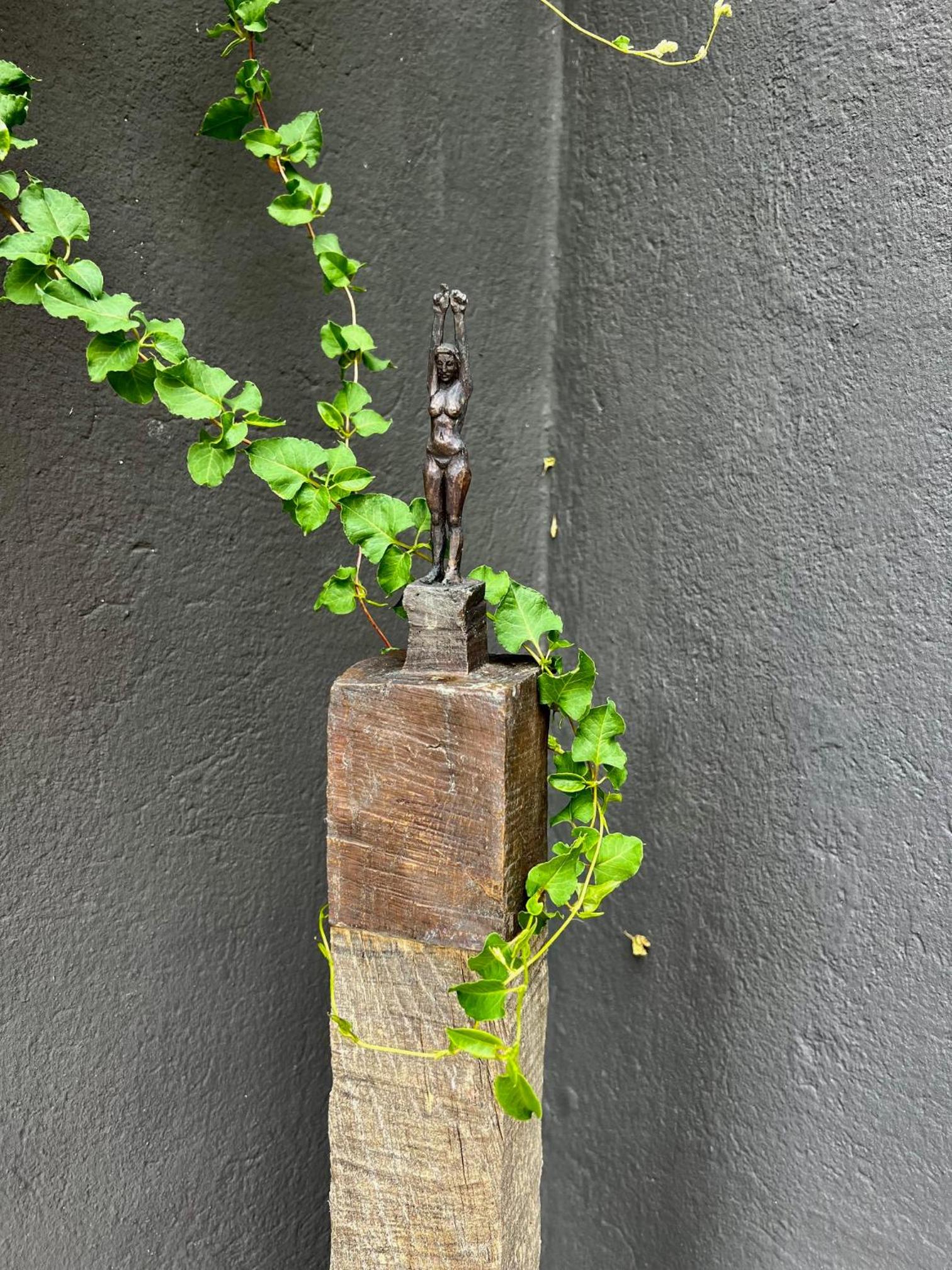 Casa Schindler