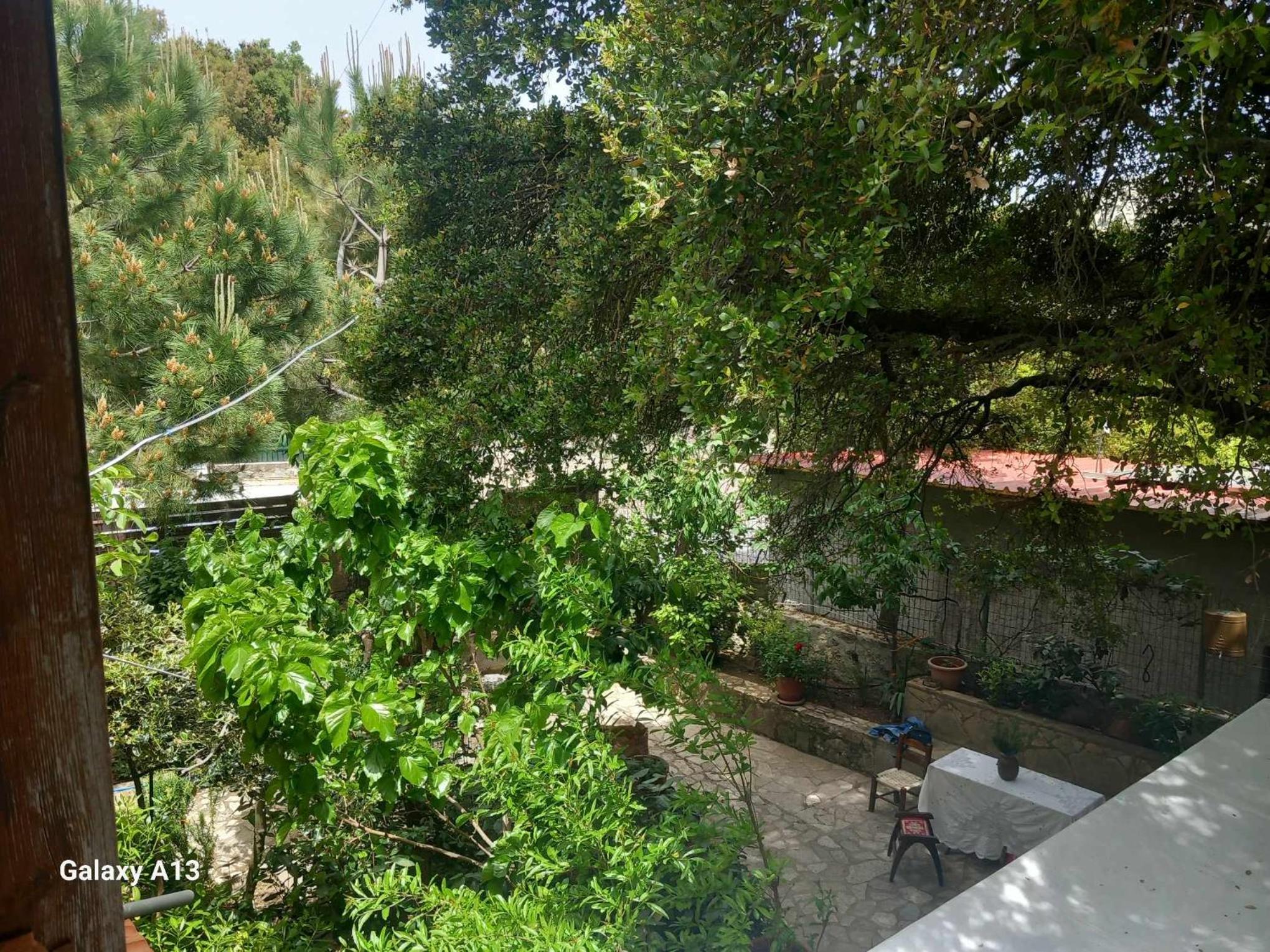 Katharo Traditional Villa