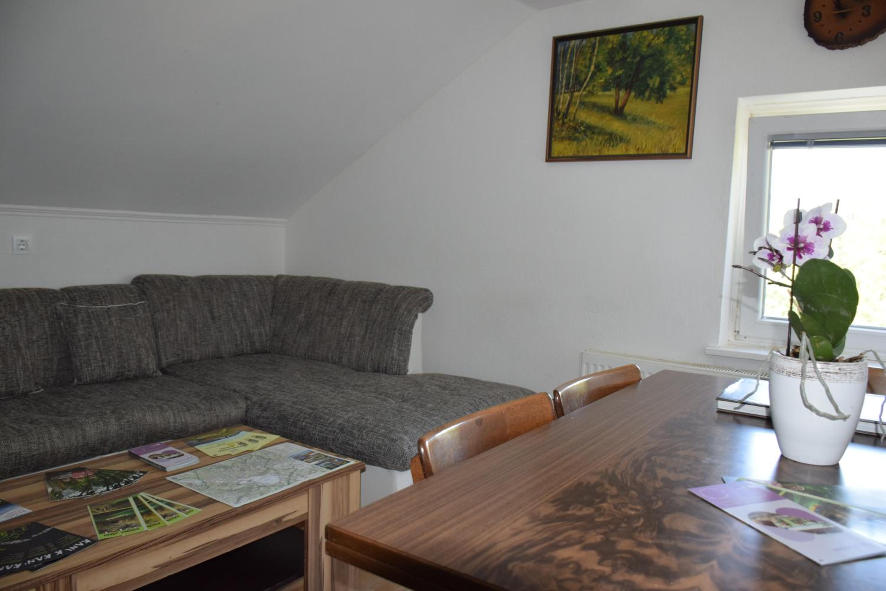 Apartma narava